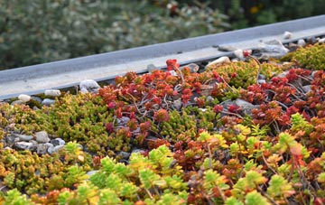 the cost of Dawlish green roof installation