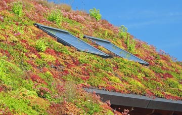 Dawlish living roof systems